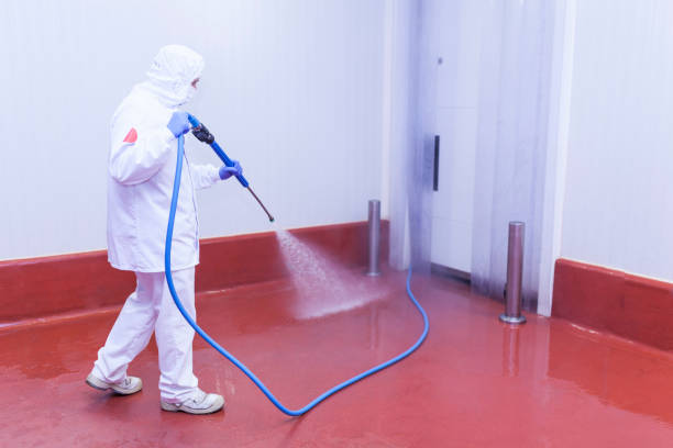 Best Sidewalk and Walkway Pressure Cleaning in Ofallon, MO